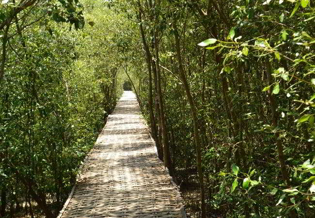 Kawasan Ekowisata Mangrove