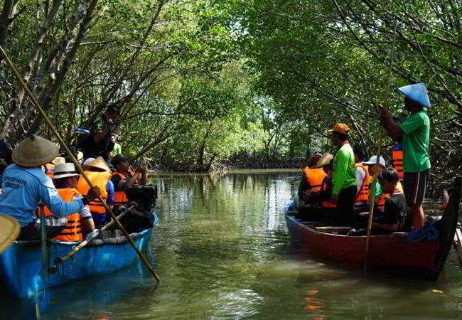 Mangrove Wonorejo