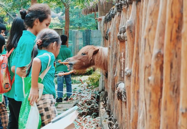 Featured image of post Harga Tiket Masuk Ecopark Ancol 2018 Sedangkan bagi para pengunjung yang datang membawa kendaraan maka harus membayar biaya tambahan sebesar rp 25 000 untuk mobil dan motor rp 15 000