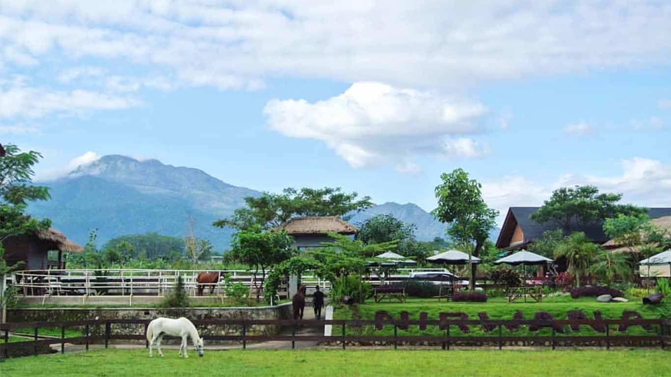 Nirwana Stable