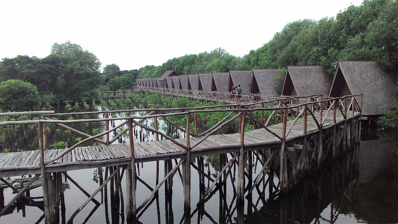 Ekowisata Mangrove PIK