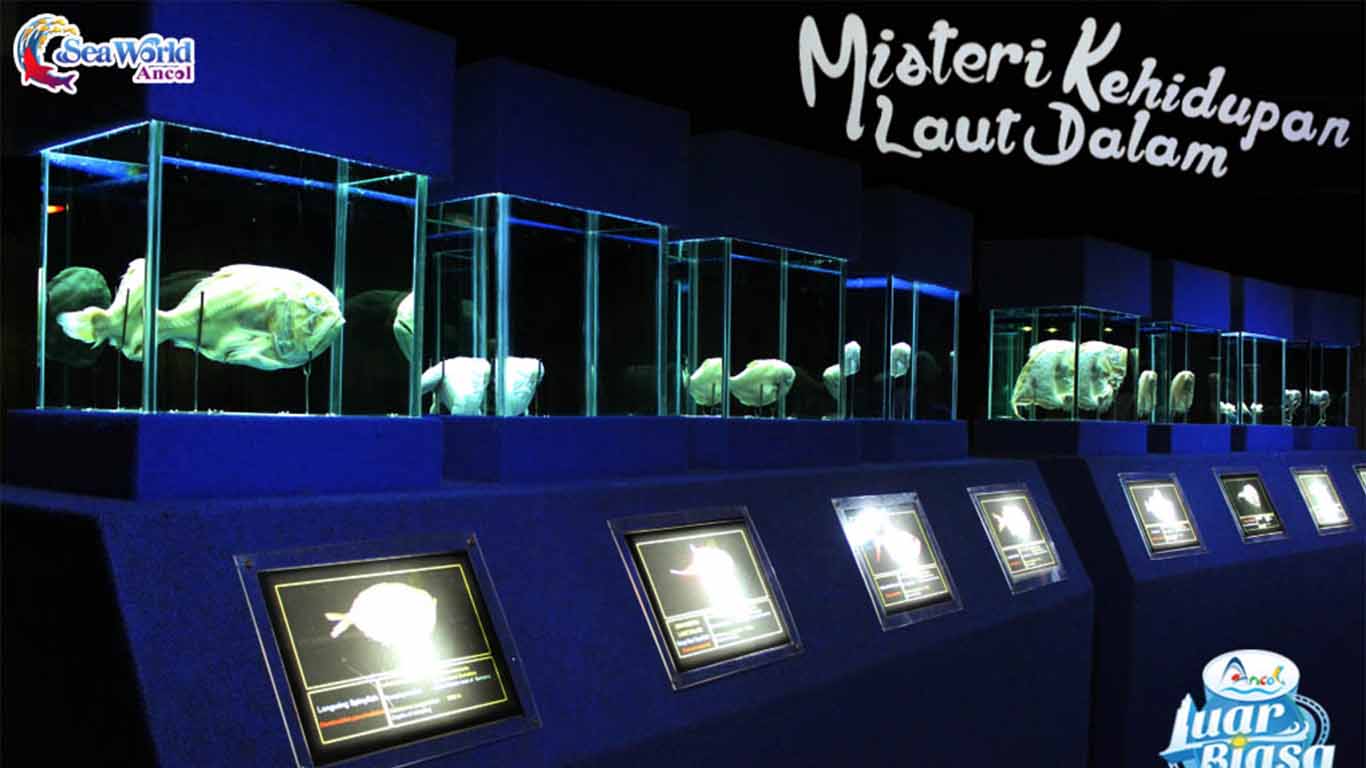 Museum Seaworld Ancol