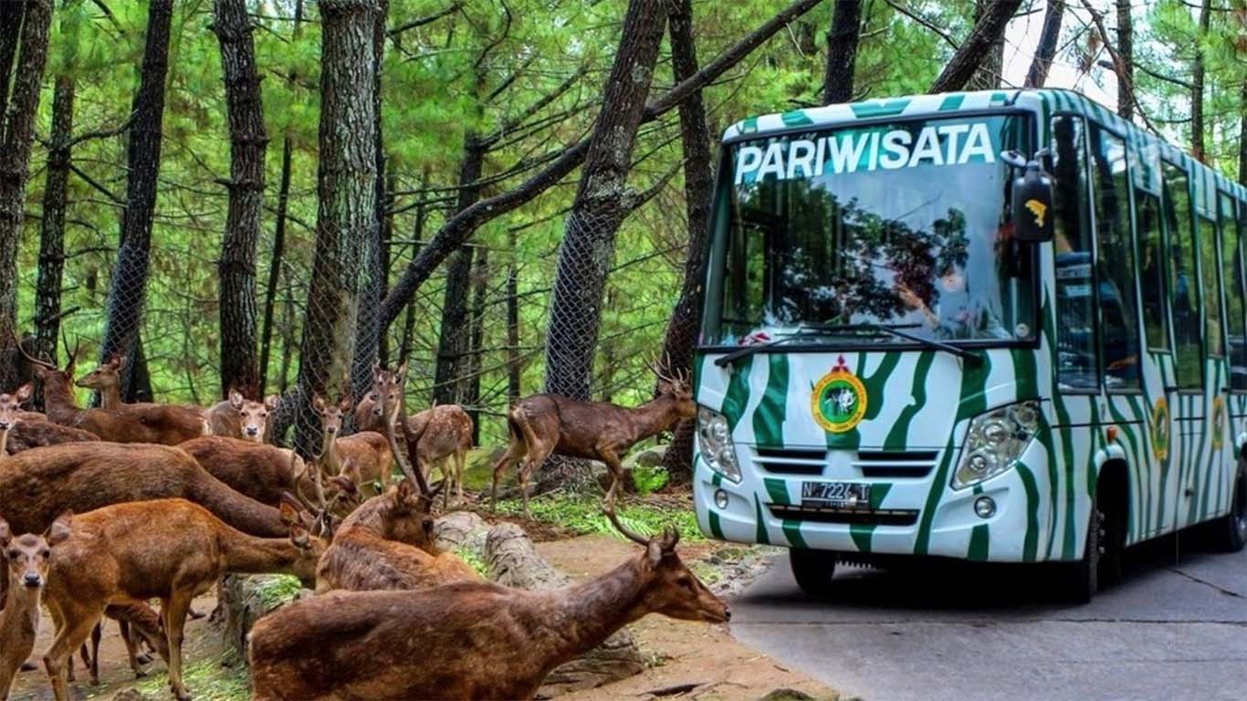 taman safari prigen saat ini