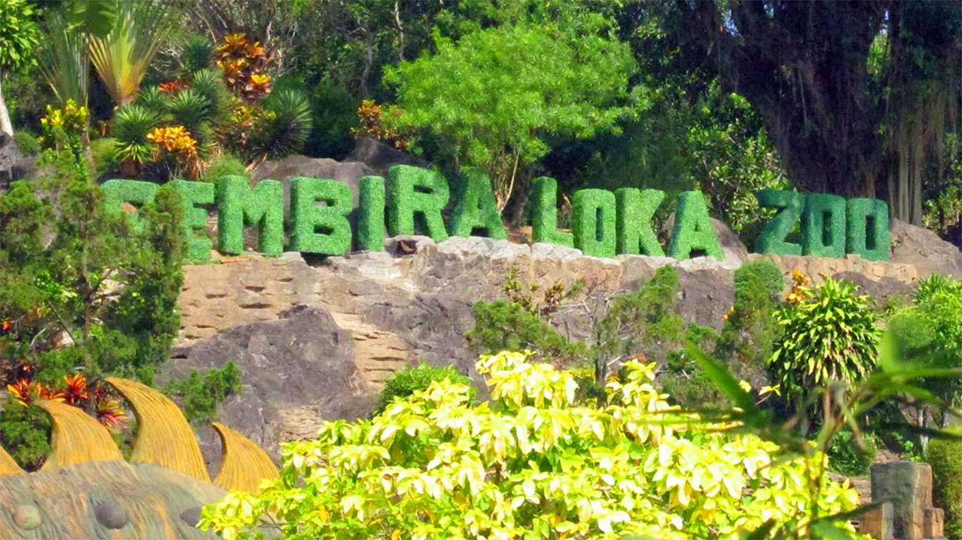 Harga Tiket Masuk Gembira Loka Zoo Jogja 2020 Rute & Lokasi