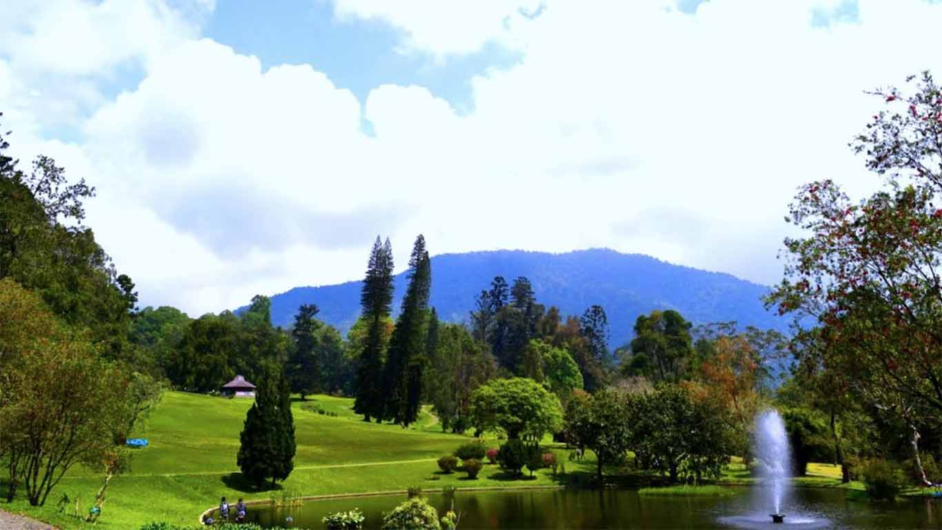 Harga Tiket Masuk Kebun Raya Cibodas Pesona Wisata