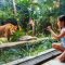 Harga Tiket Bali Zoo Park