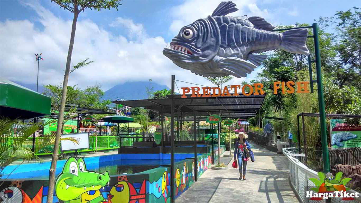 Predator Fun Park