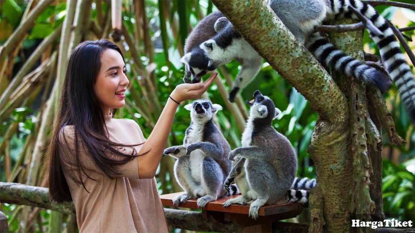 harga tiket bali zoo terbaru