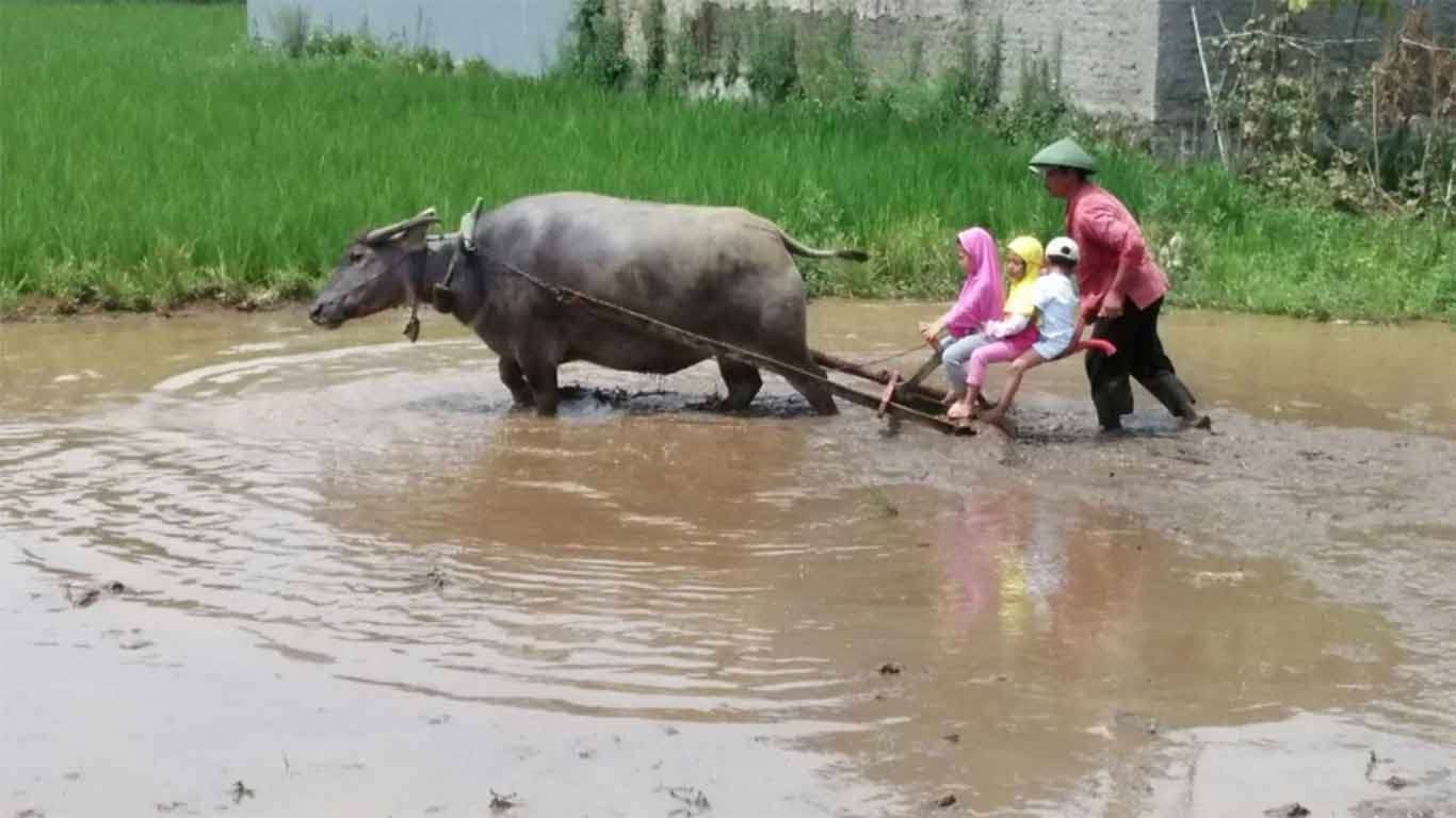 fasilitas kampung batu bandung