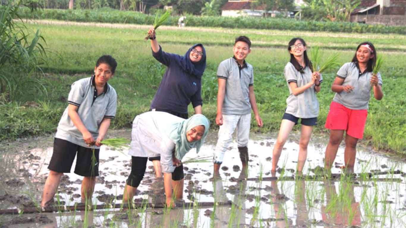 gambar kampung batu malakasari