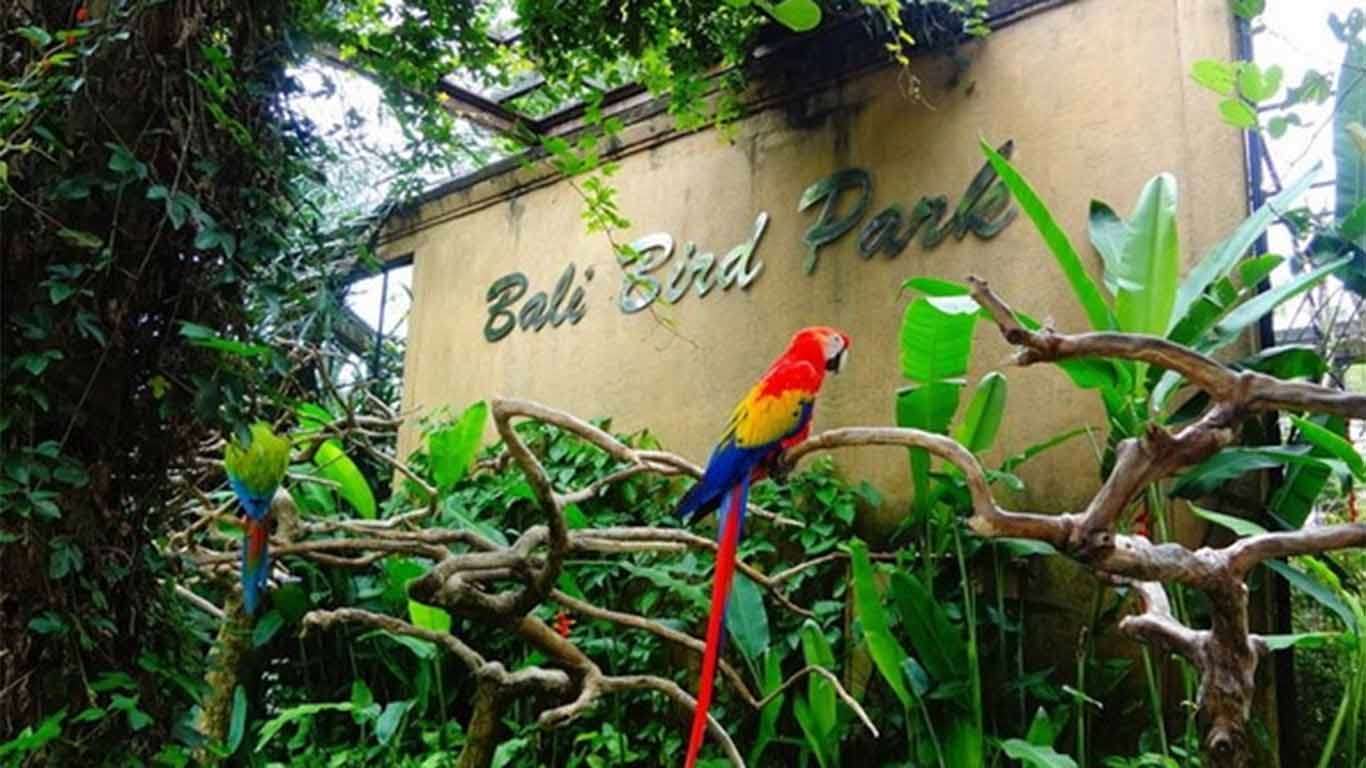 Bali Bird Park: Daya Tarik & Tiket Masuk 2022