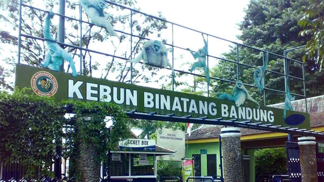 Kebun Binatang Bandung: Spot Wisata & Harga Tiket 2022