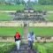 harga tiket masuk candi sambisari yogyakarta