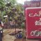 harga tiket masuk kampung coklat blitar