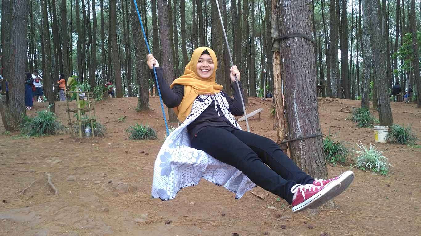 harga tiket masuk wisata hutan pinus pengger