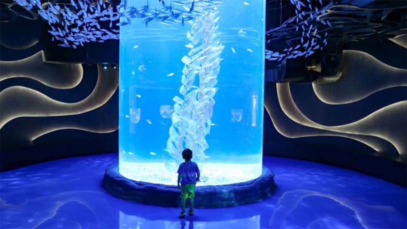 √ Jakarta Aquarium: Wahana, Lokasi, Harga Tiket 2022