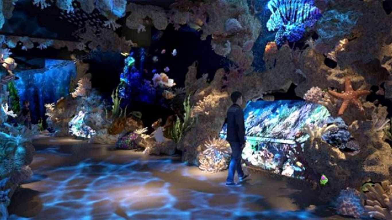 √ Jakarta Aquarium: Wahana, Lokasi, Harga Tiket 2022