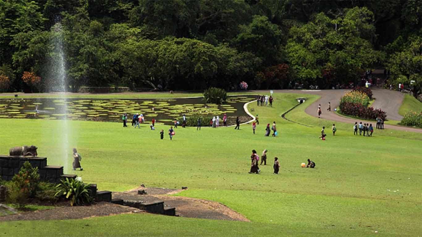 tiket masuk museum zoologi bogor