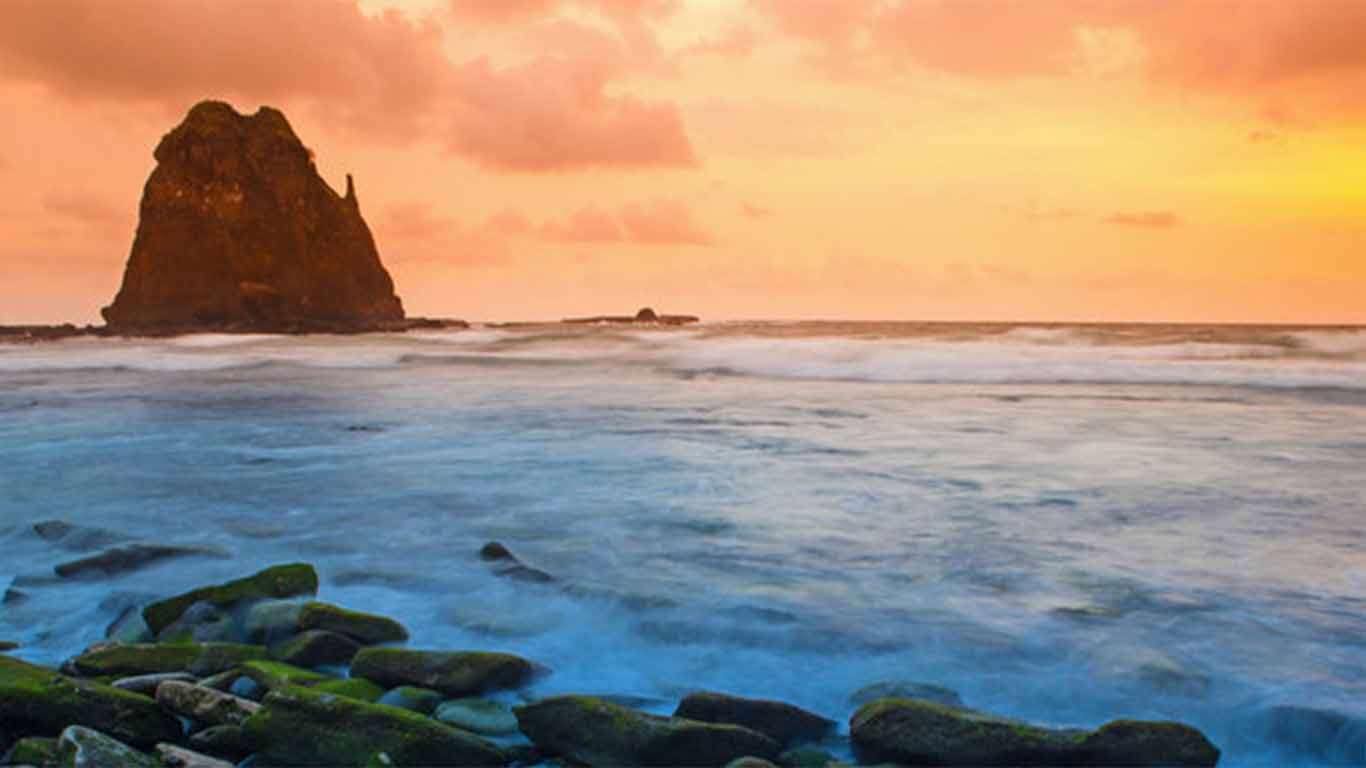 √ Harga Tiket Pantai Papuma Jember + Eksotisnya Pantai Putih Malikan