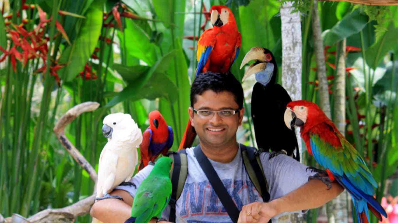 tiket murah bali bird park