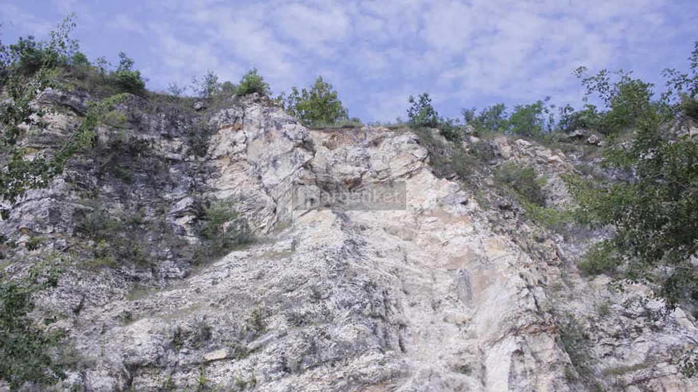 Dedi Gunung Kapur