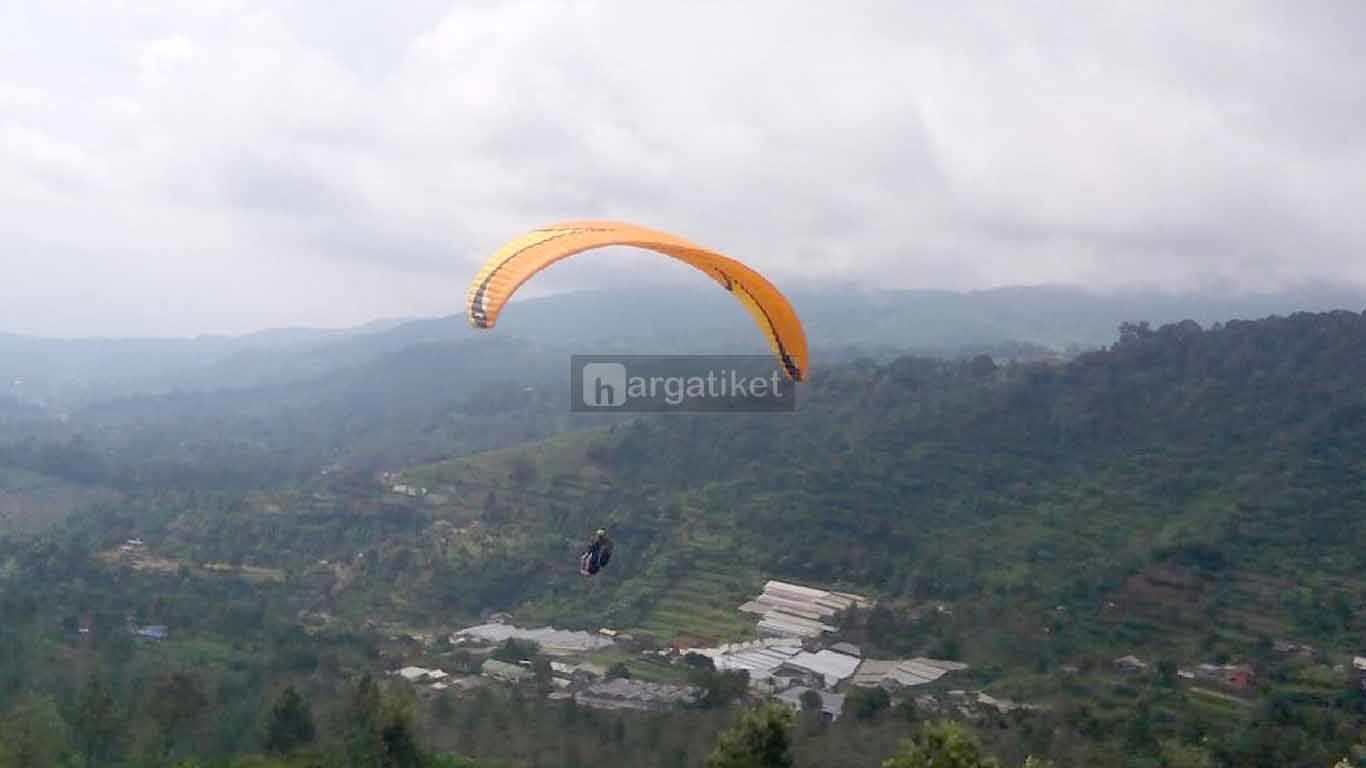 Fly Indonesia Paragliding atau Bukit Paralayang Puncak