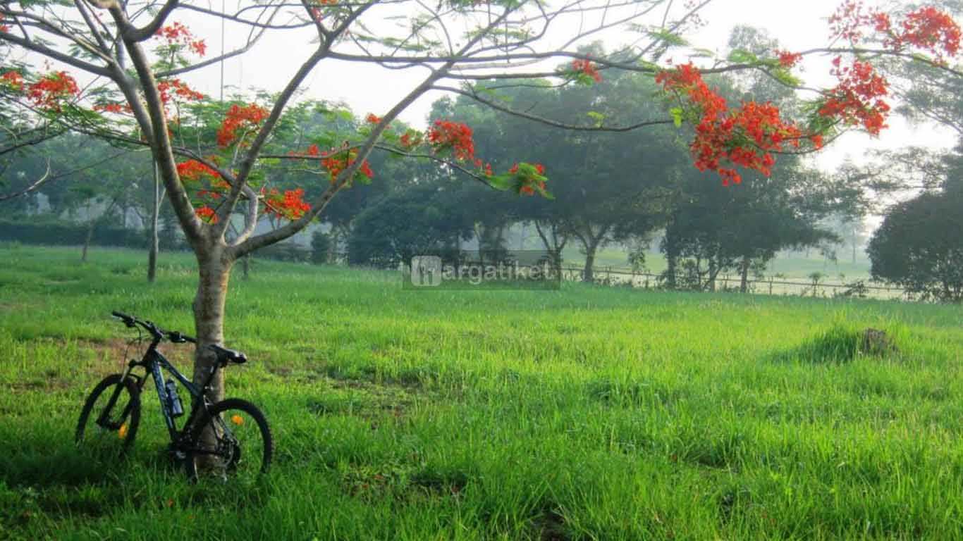 Jababeka Botanical garden