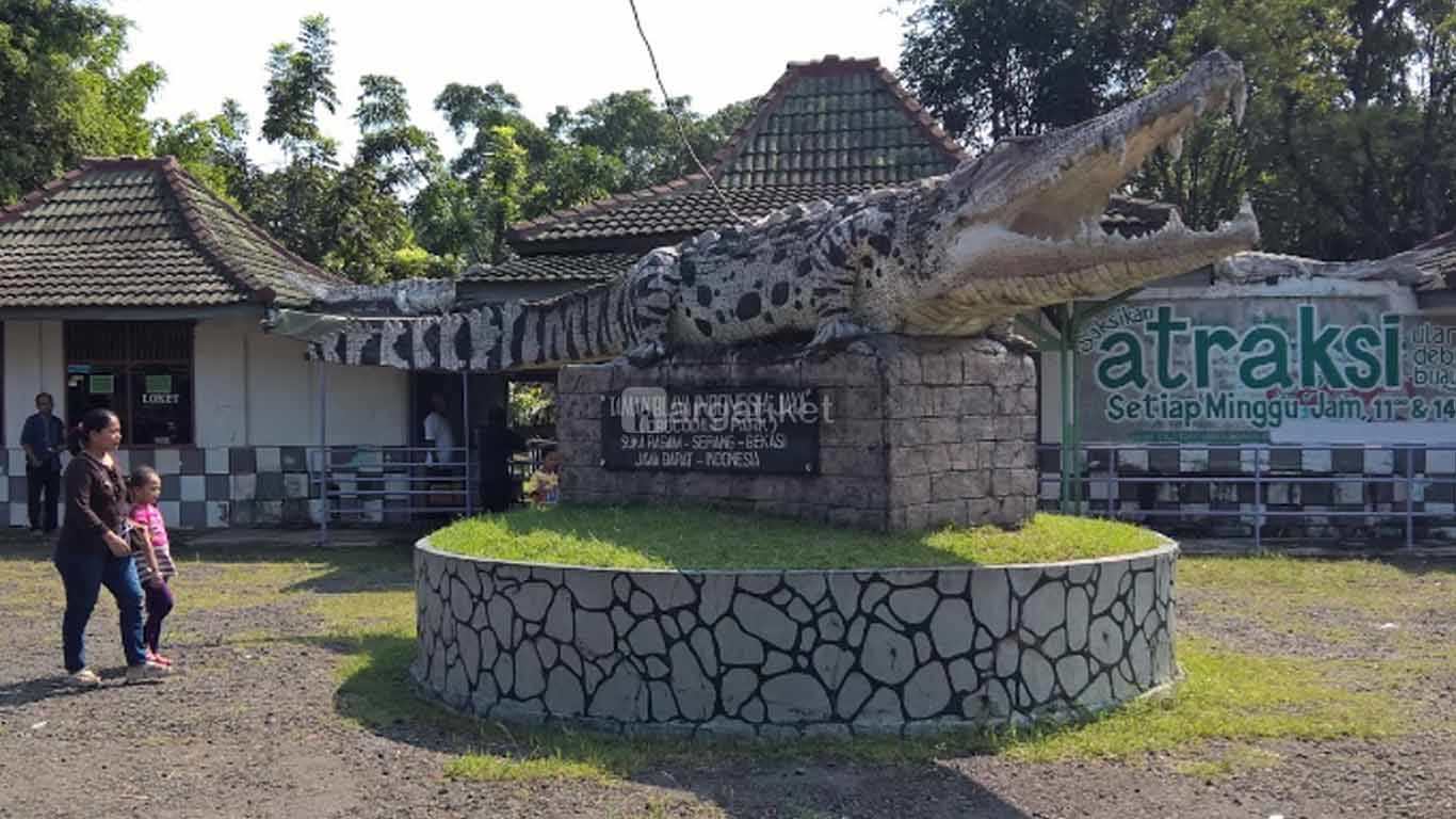 Taman Buaya Indonesia Jaya