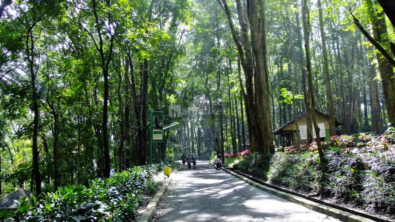 √ 100+ Tempat wisata di Bandung yang Hits Terbaru