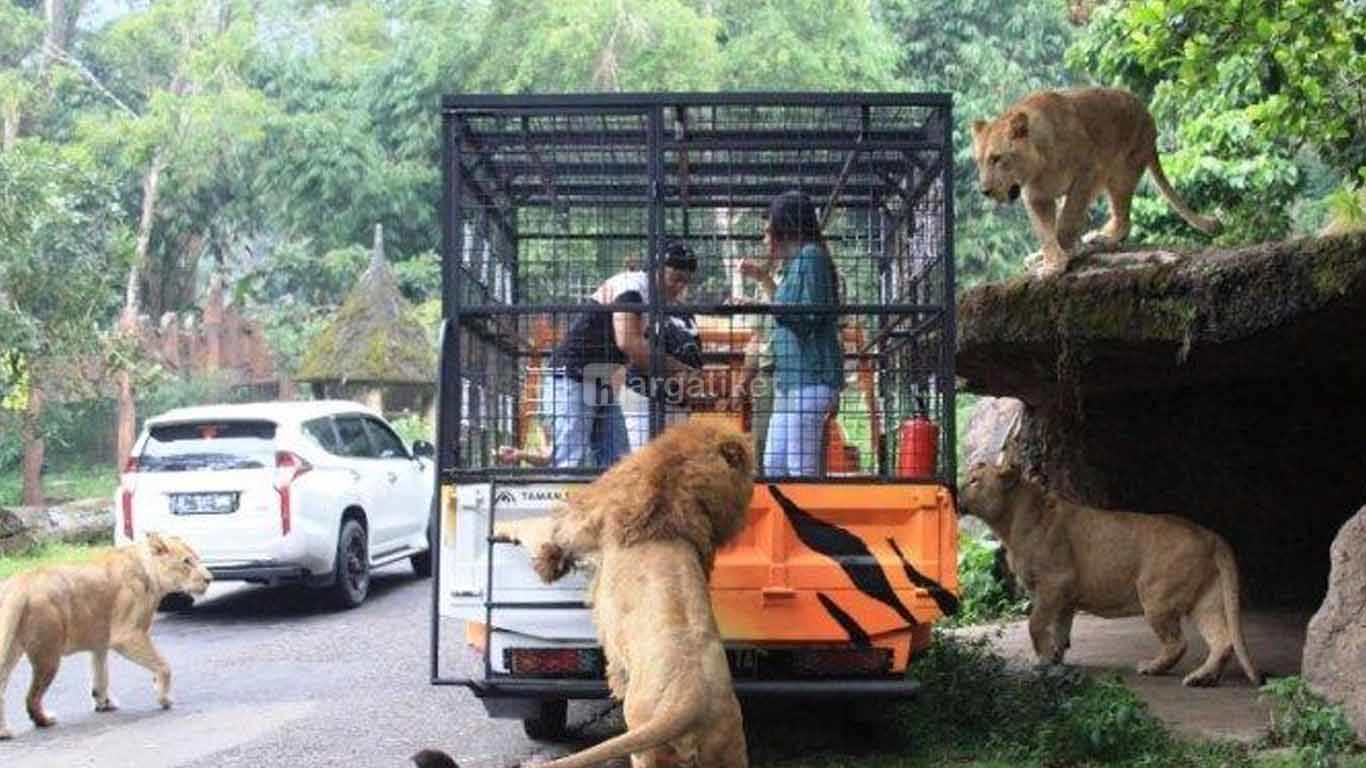 Taman Safari Indonesia