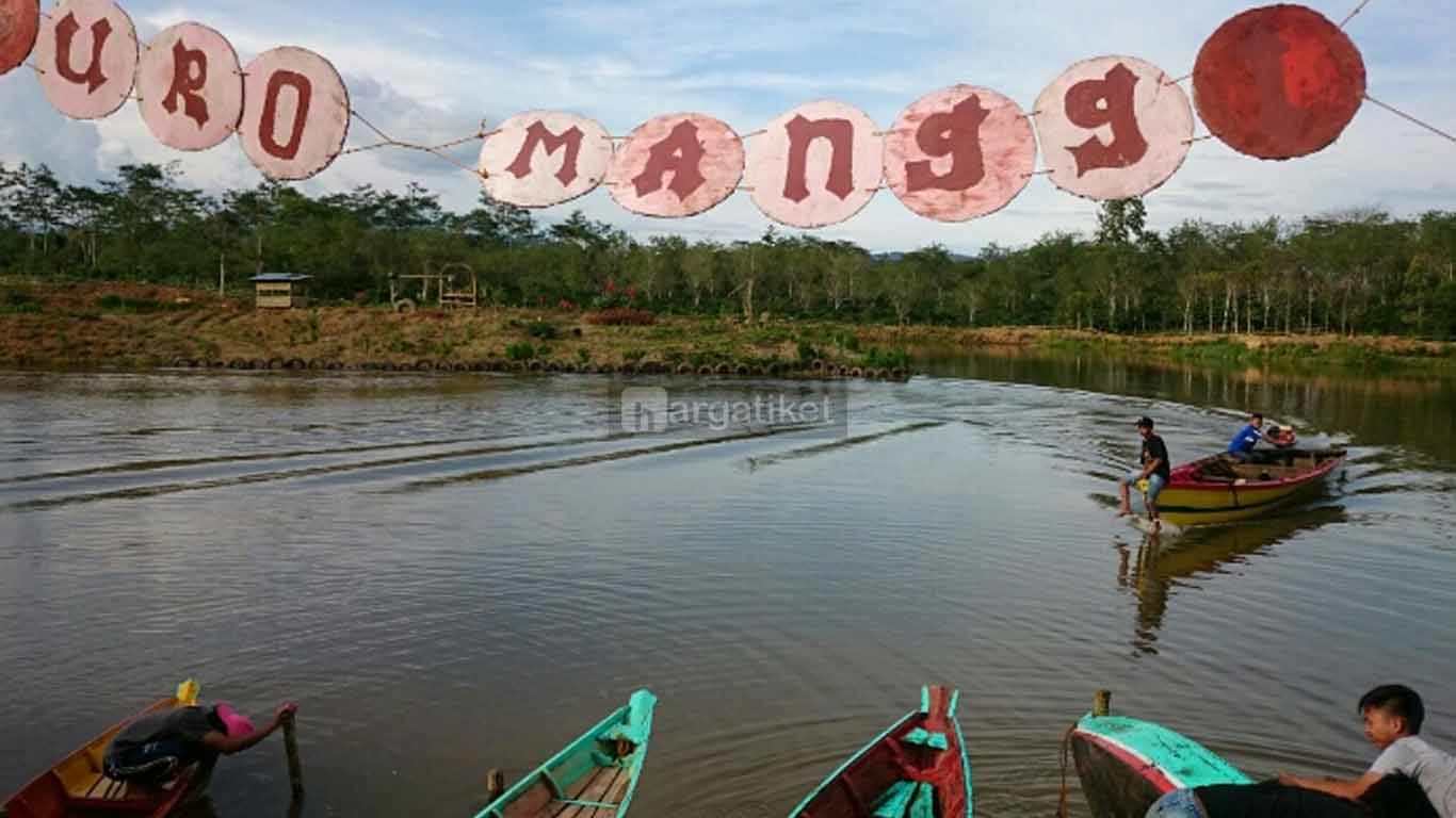 danau suro