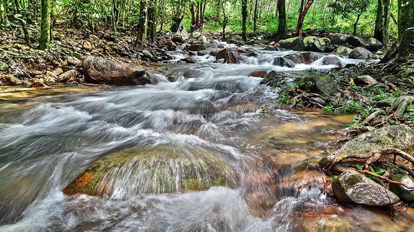 Air Terjun Eria