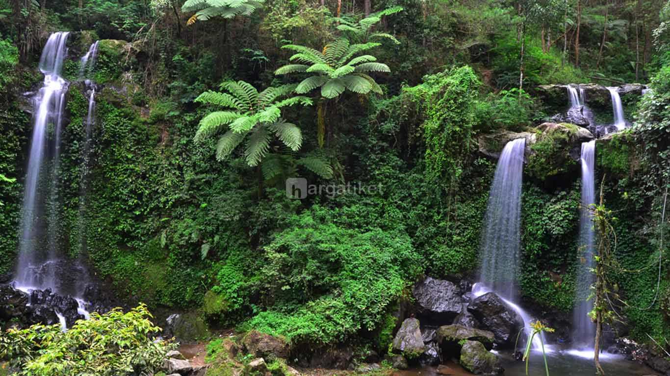 Air Terjun Grenjengan Kembar