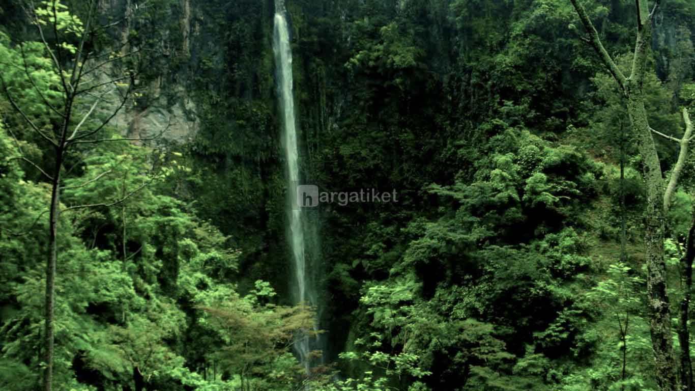 Air Terjun Kali Pancur