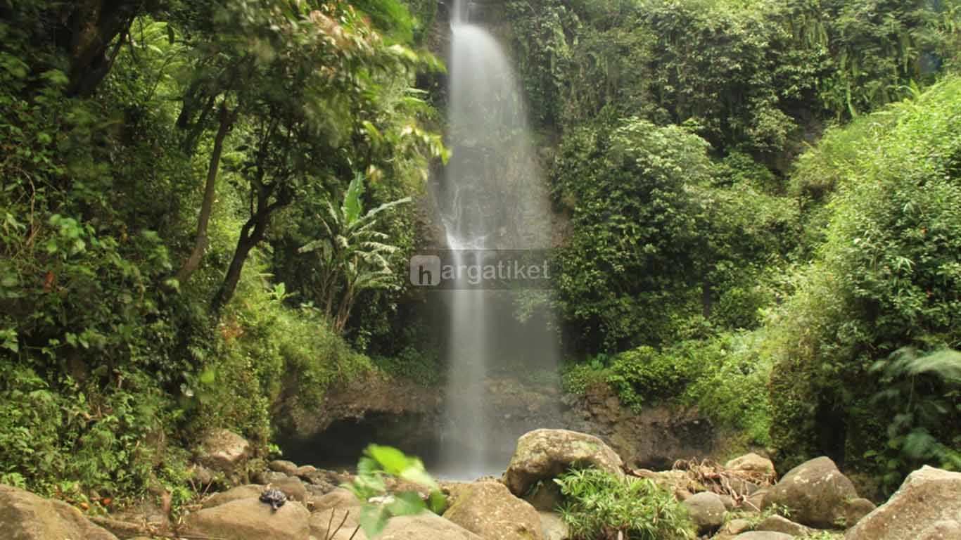 Air Terjun Krecekan Denu