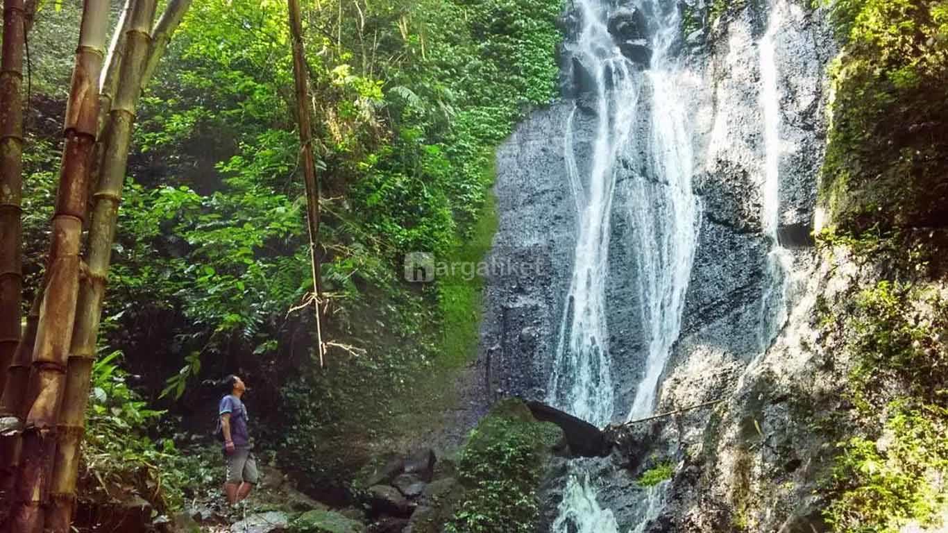 Air Terjun Ngesong