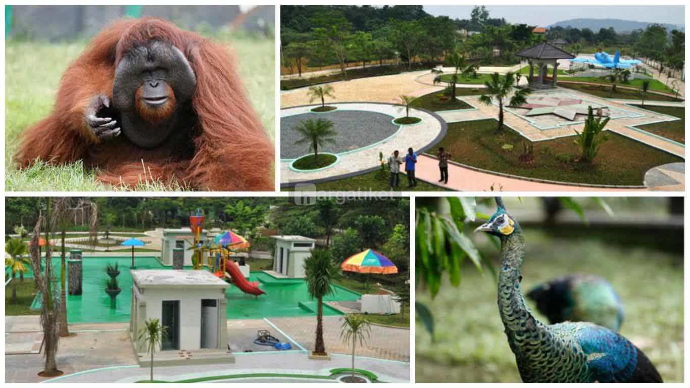 Bonbin Mangkang atau Taman Margasatwa