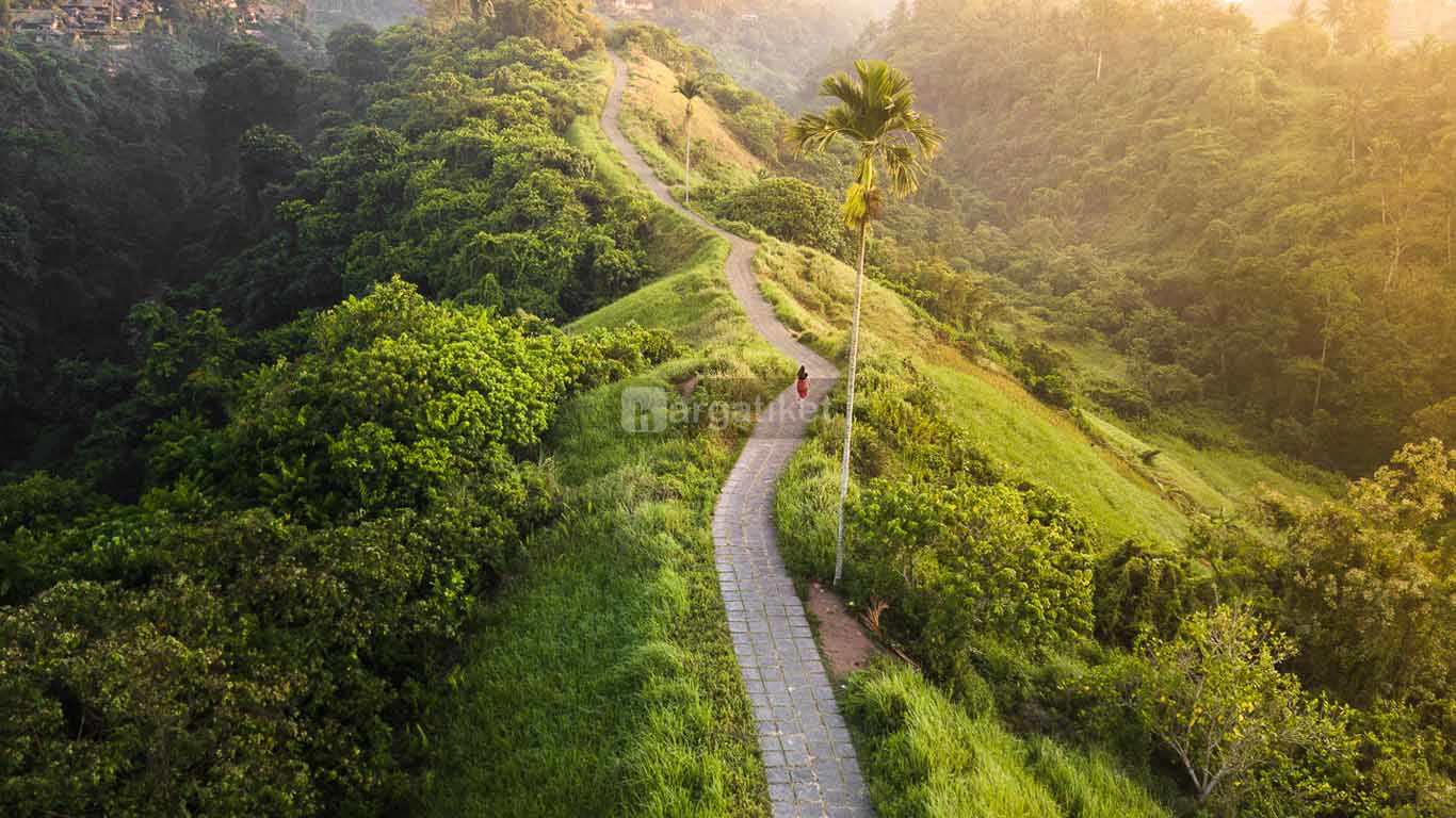 Campuhan Ridge Walk