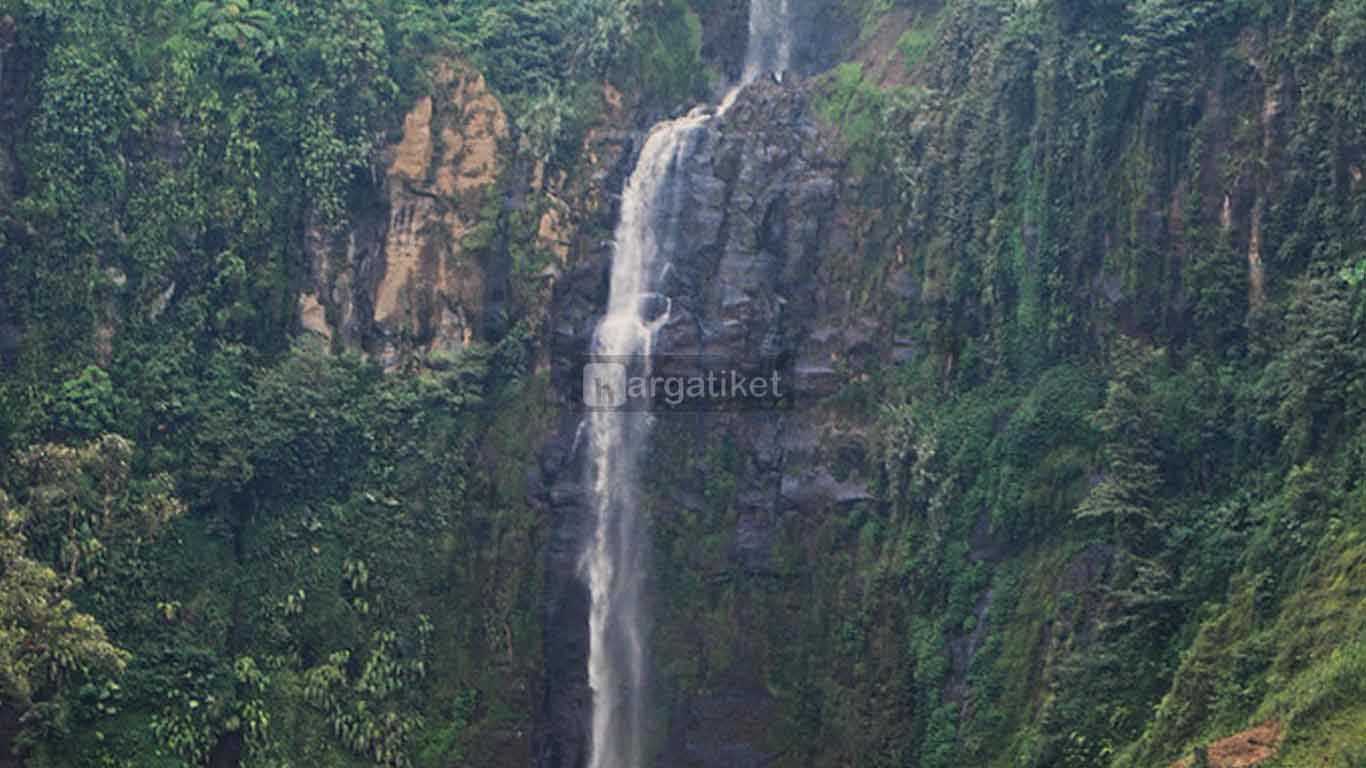 Coban Rambut Moyo