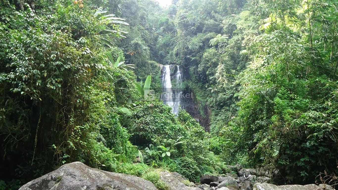 Curug Cidadap Semaya