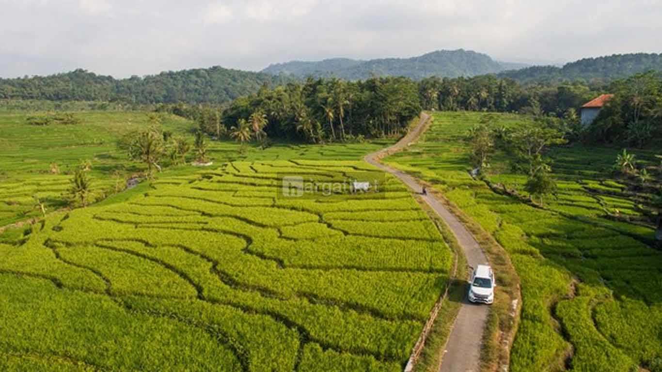 Desa Wisata Cikalahang