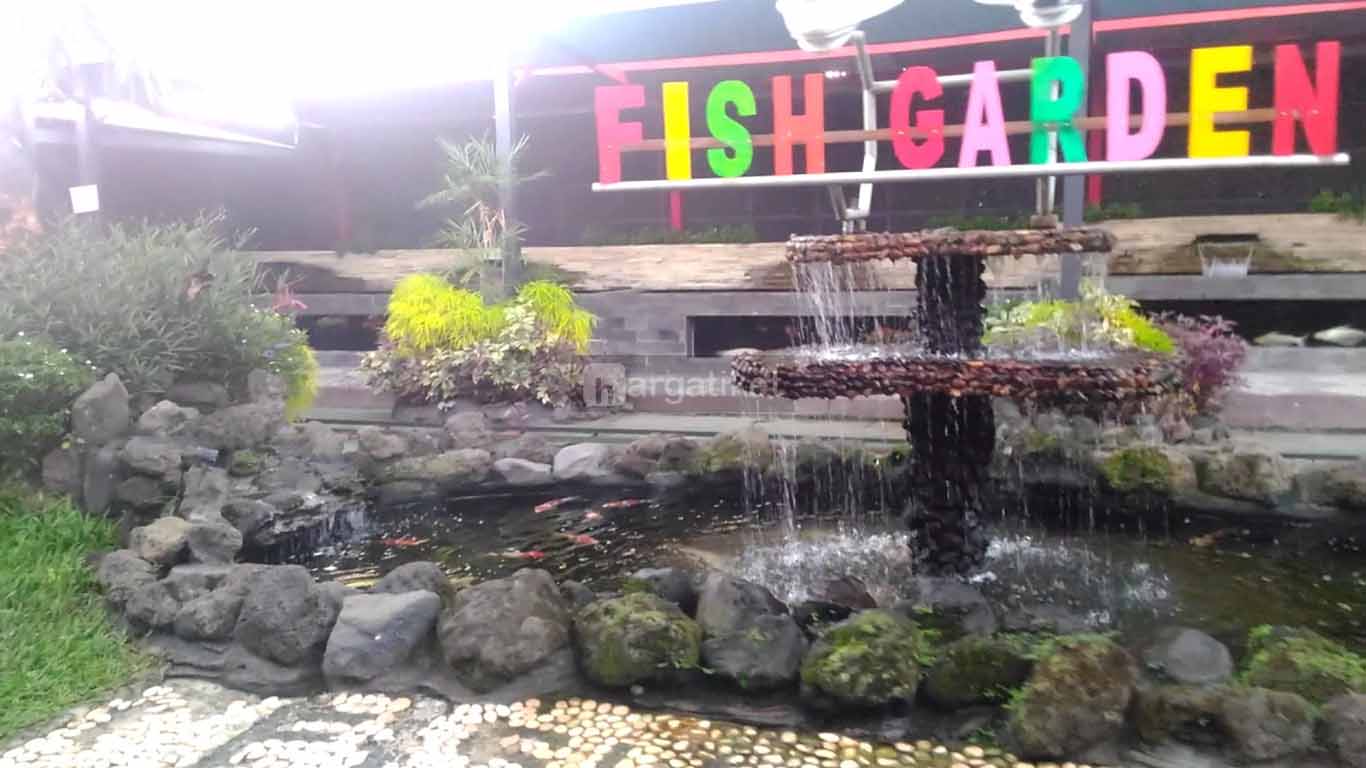 Fish Garden