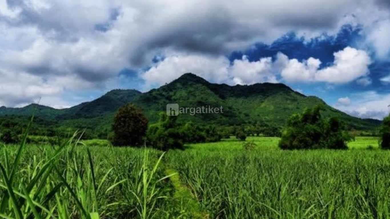 Gunung Maskumambang