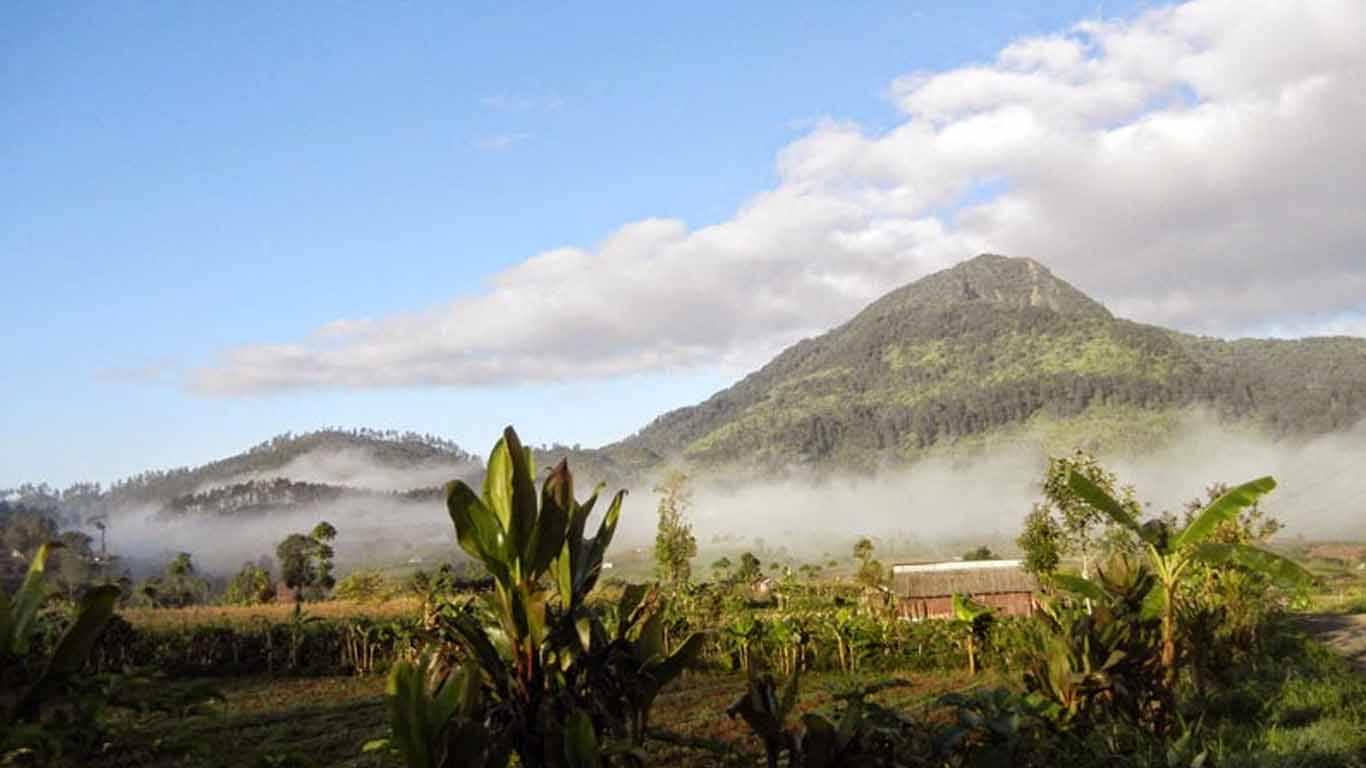 Gunung Rogojembangan