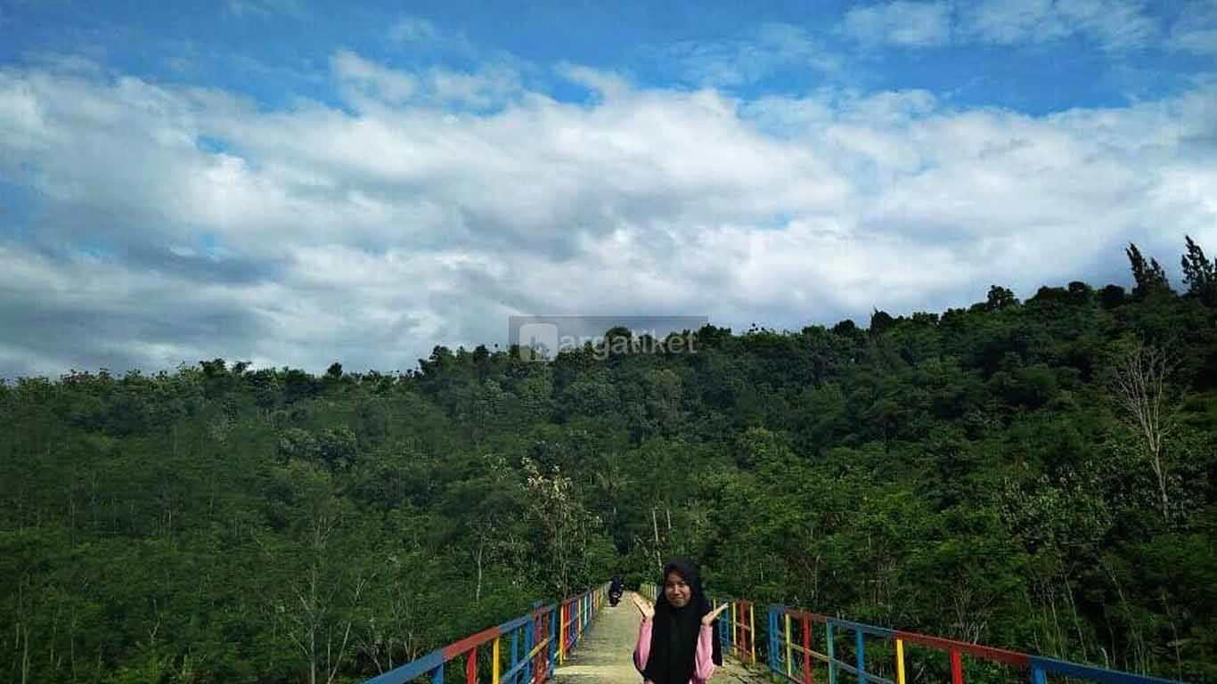 Gunung Tanjung