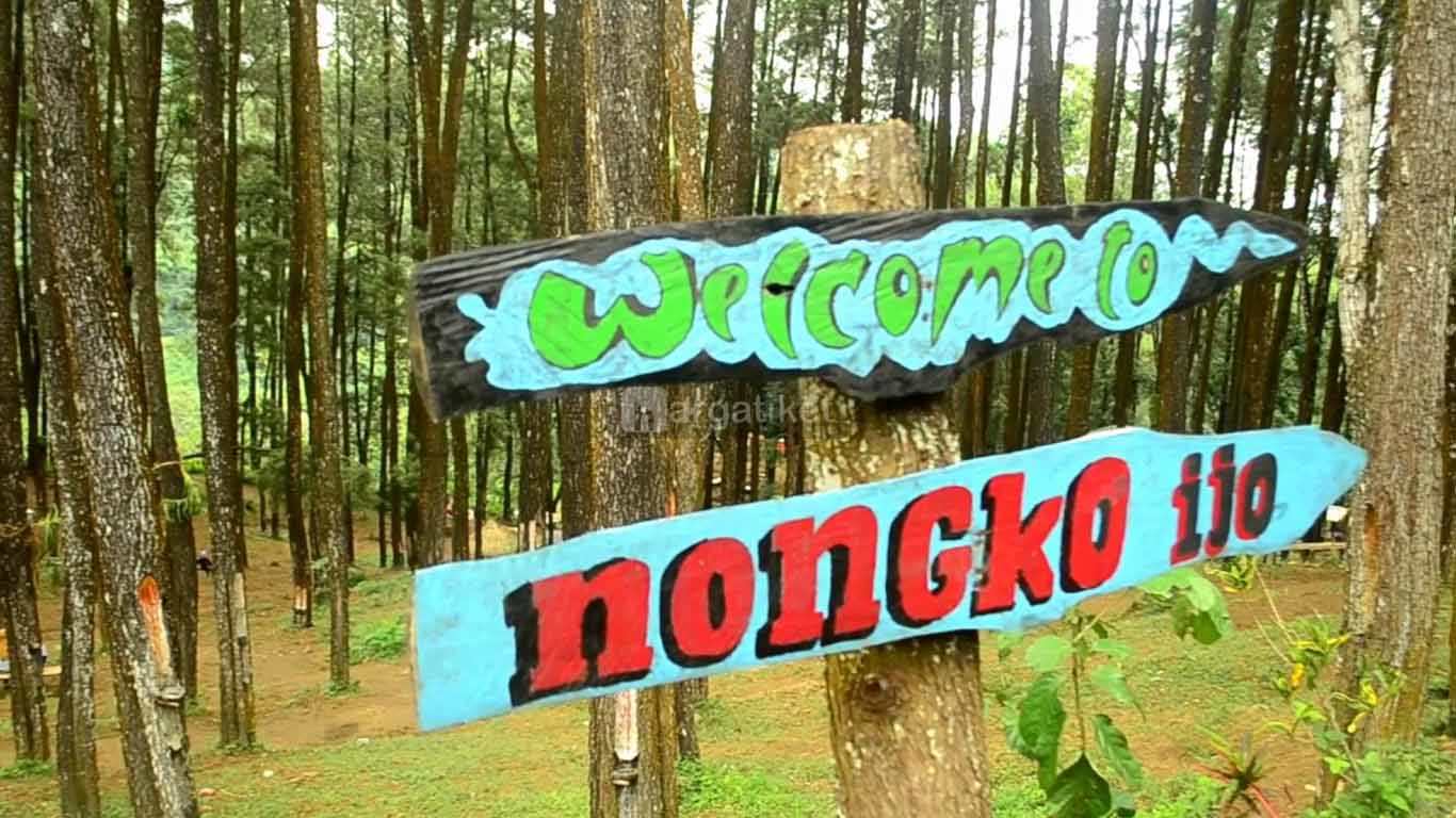 Hutan Pinus Nongko Ijo Kare