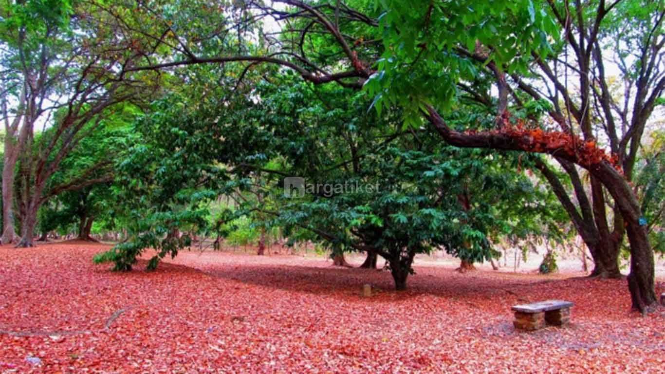 Kebun Raya Purwodadi