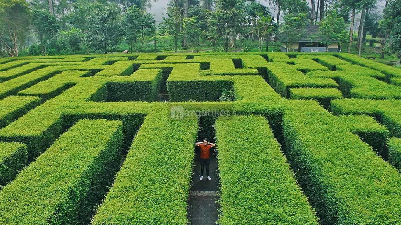 Taman Labirin Coban Rondo