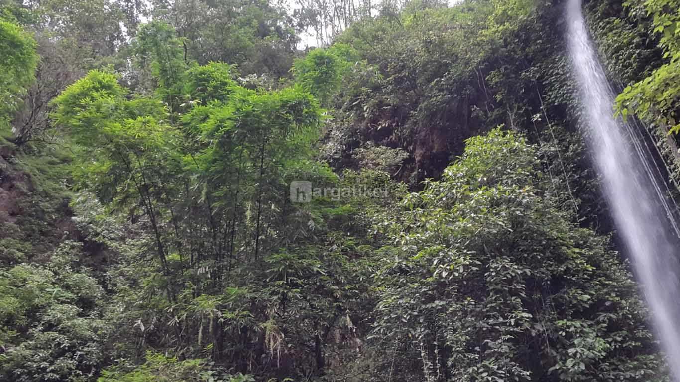 air terjun grenjengan