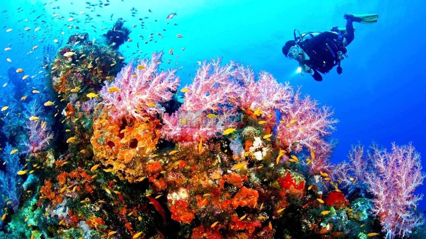 Taman Wisata Laut Olele